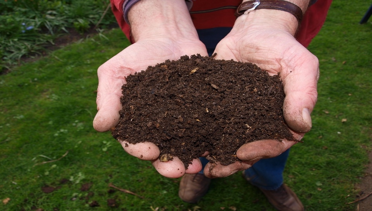 Which is the best composting method? Rescue 101