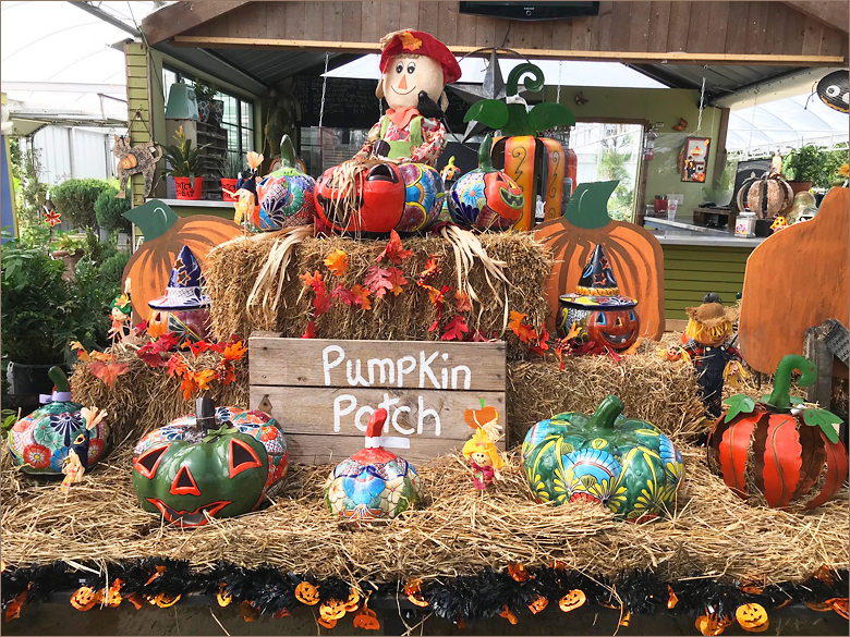 Pumpkin Patch Rockwall Royse City Heath TX Rockwall