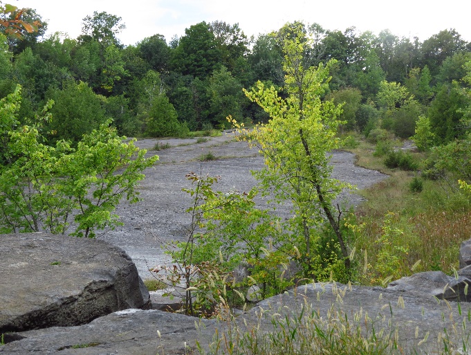 Fisk Quarry Preserve, La Motte VT. Fossils & Serendipity. Daughter.