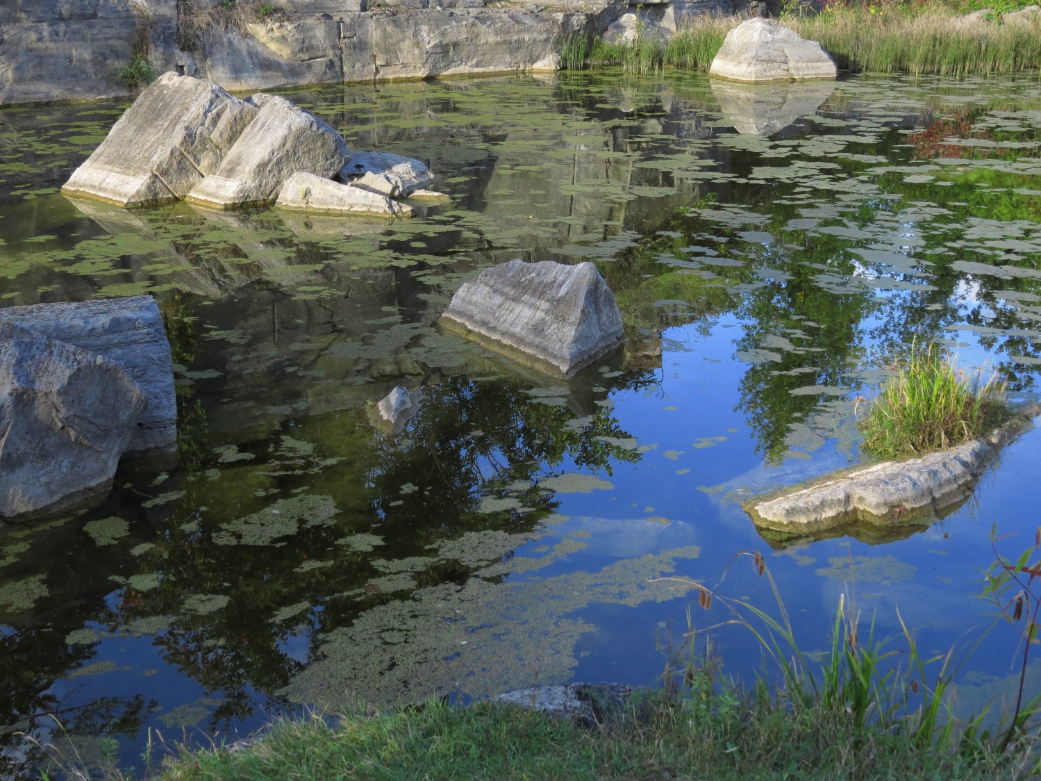 Fisk Quarry Preserve, La Motte VT. Fossils & Serendipity. Daughter.