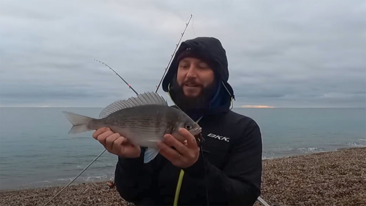 Bream And Cod Fishing On Chesil Beach Sea Fishing