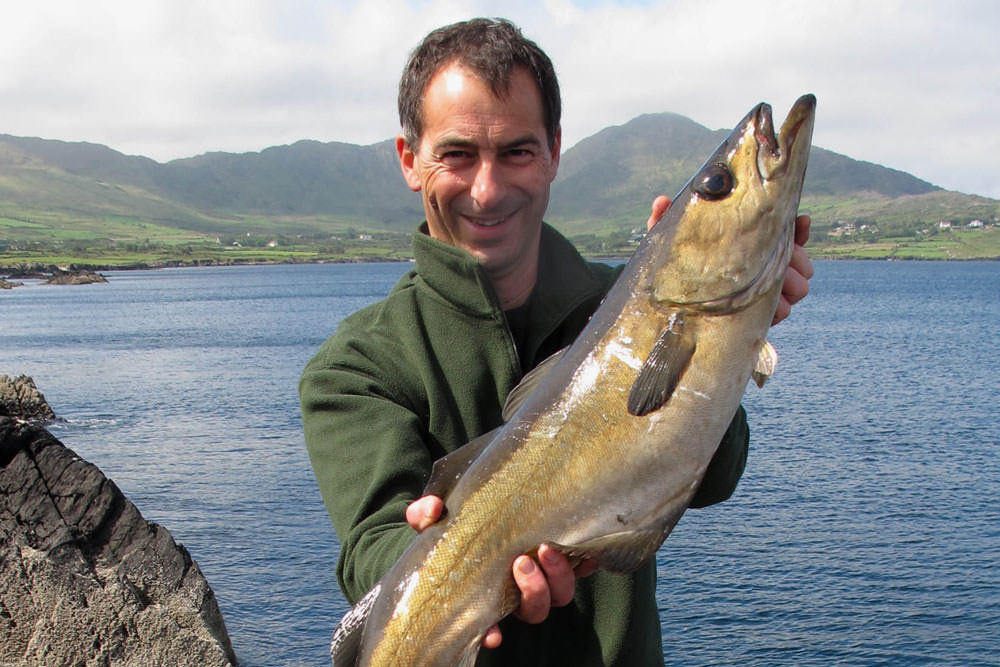 Pollack a Plenty in West Cork Sea Fishing