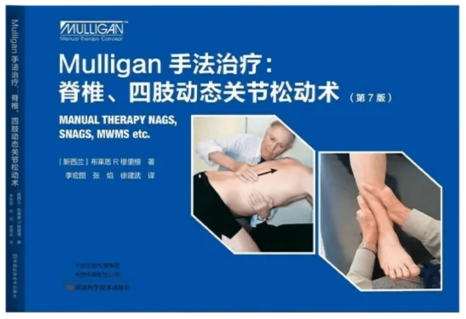 Plane View Services 2019 Ltd Manual Therapy Concepts