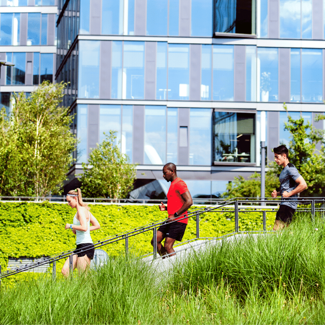 Urban Tree Canopy Assessments The Benefits of Trees PlanIT Geo™