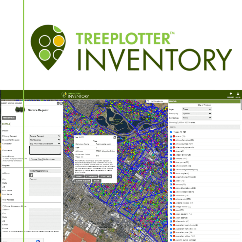 Tips for Planning An Urban Tree Inventory And Getting The Most Out Of
