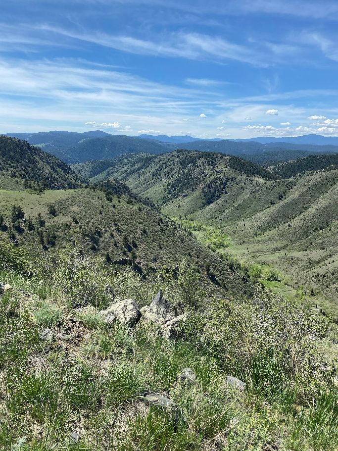 Mount Tom is Conserved! PLANJeffco