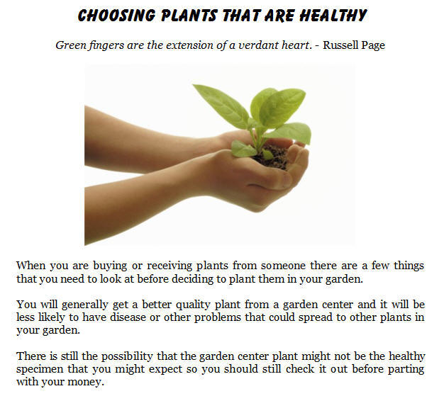 Choosing Healthy Plants at a Garden Center or Nursery