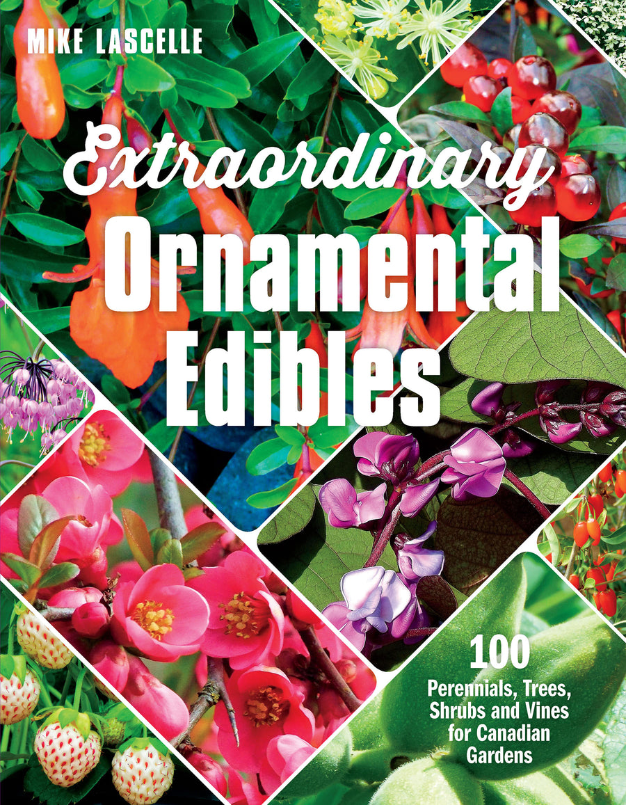 Edible Ornamental Plants For Your Garden