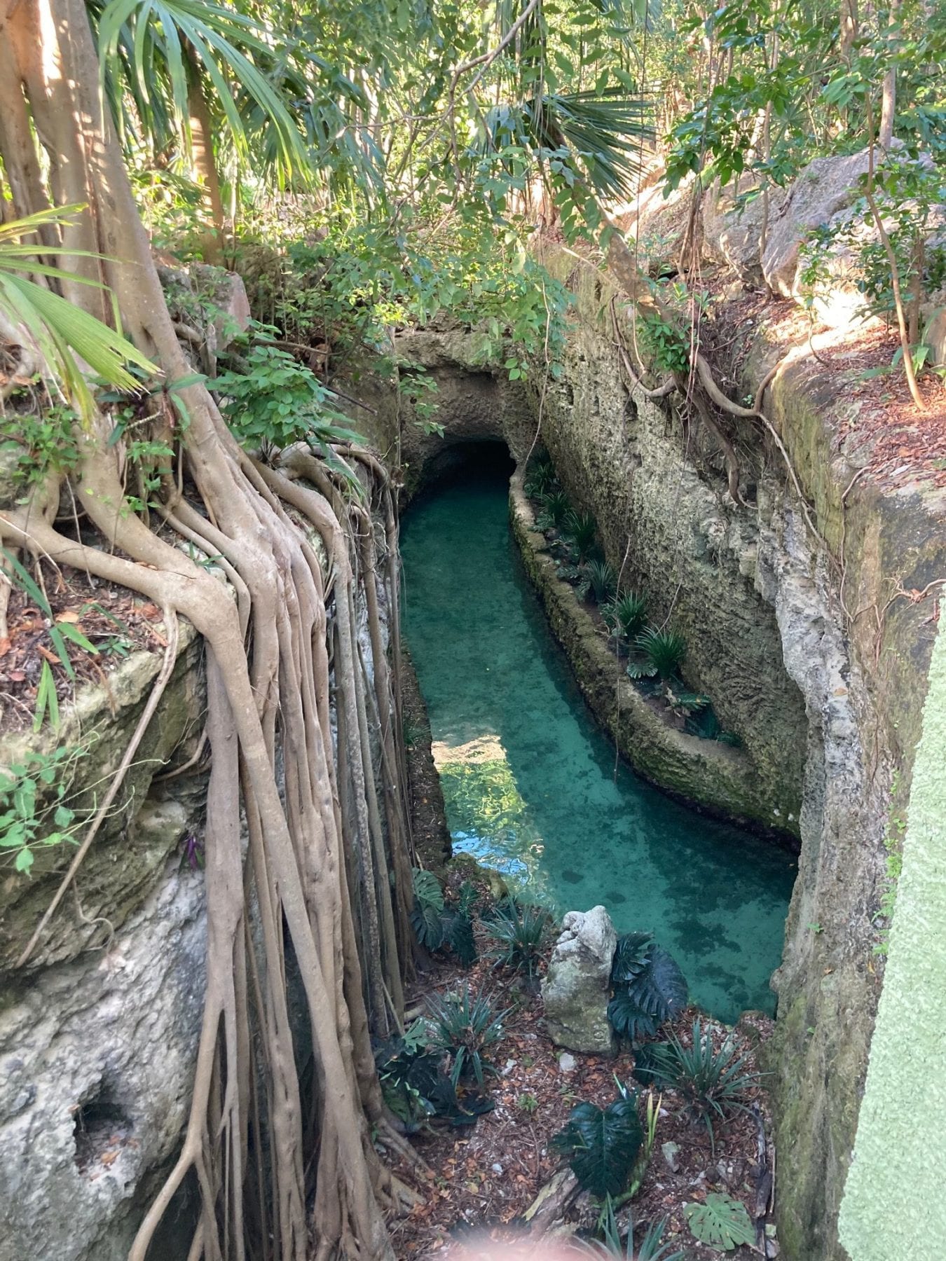 Explore all the Xcaret Activities for your Cancun Trip Planning Away