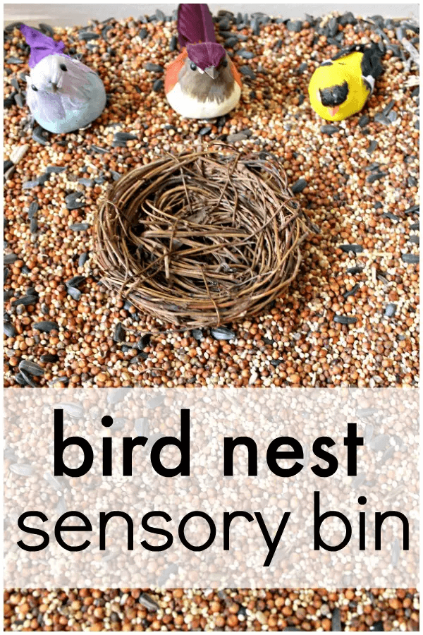 Sensory Bins Planning Playtime