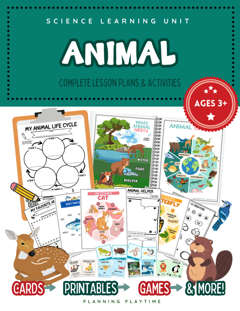 Hands - On Animal Science Unit for Preschool & Kindergarten: Lesson