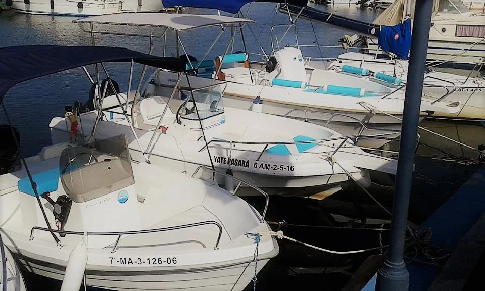 FLEET RENT BOAT Planout