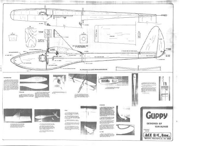GUPPY AMA Academy of Model Aeronautics