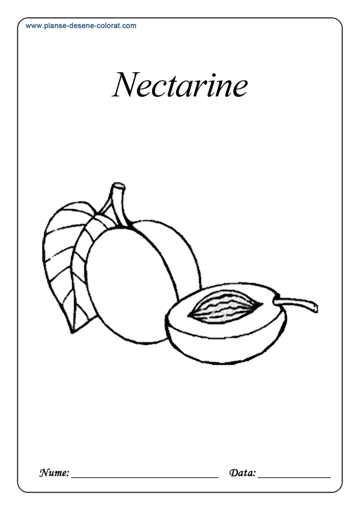 Fructe - Planse de colorat si educative