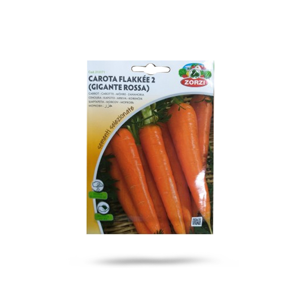 Carrot Seeds Price in Dubai, UAE planta.ae