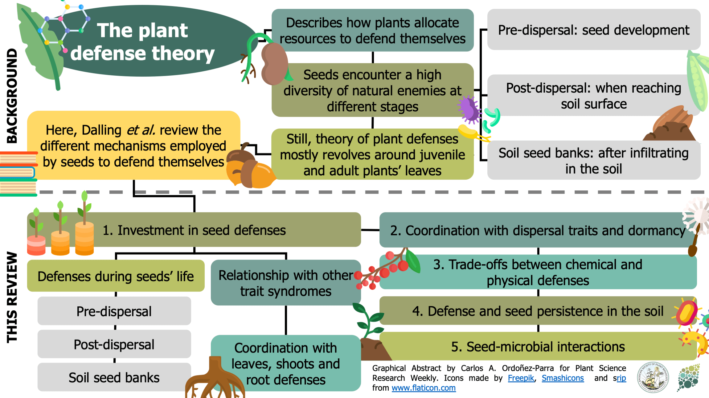 Review Extending Plant Defense Theory to Seeds (Annu. Rev. Ecol. Evol