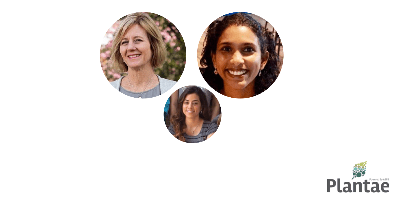 Plantae Presents Julia BaileySerres and Rashmi Sasidharan Plantae