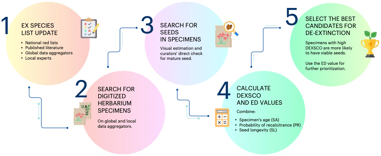 Deextinction of plants from herbarium specimens Plantae