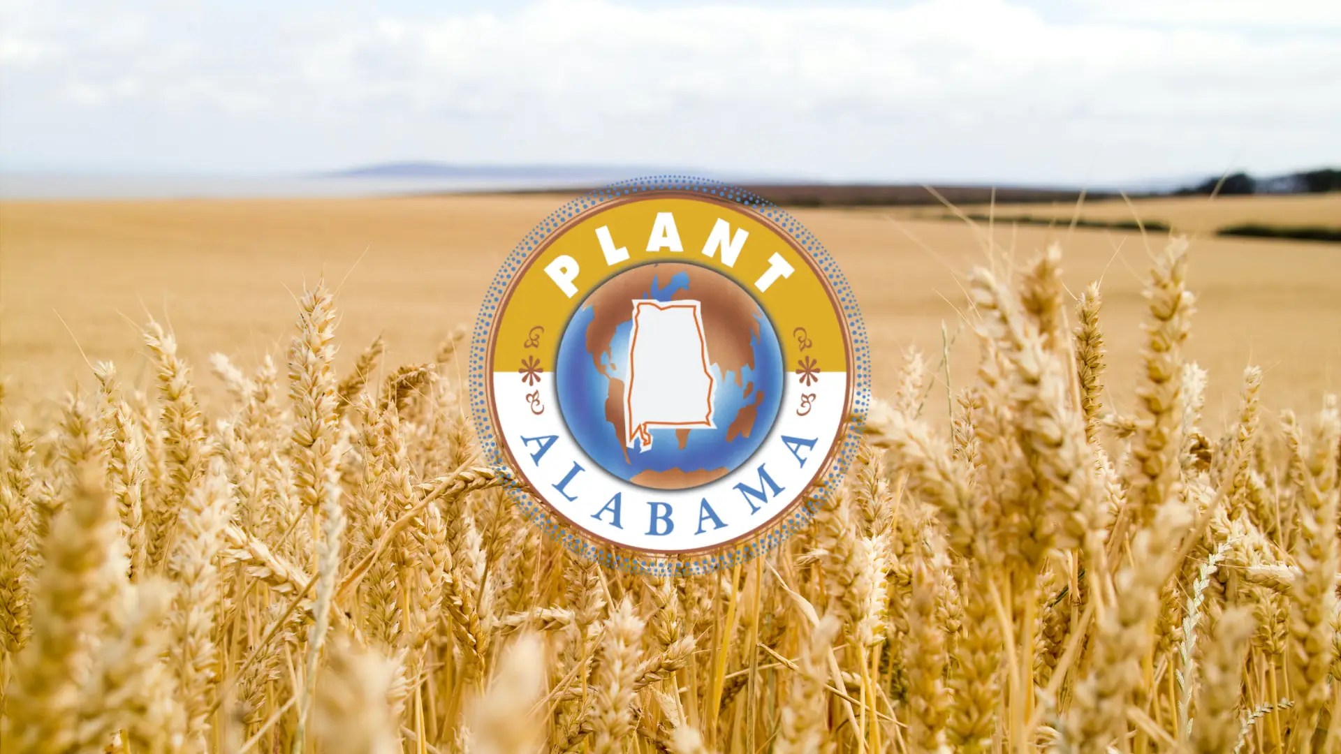 Mt. Olive Baptist Church