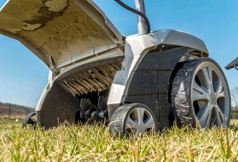 The Best Electric Dethatcher for Large Lawns in 2024 Plant And Lights