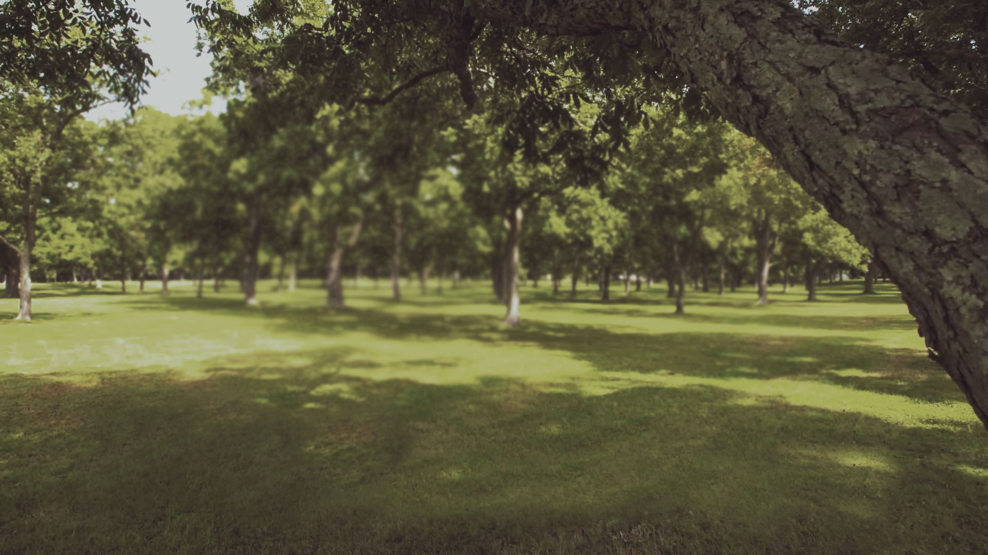 Valdosta Homes for Sale Plantation Point Subdivision