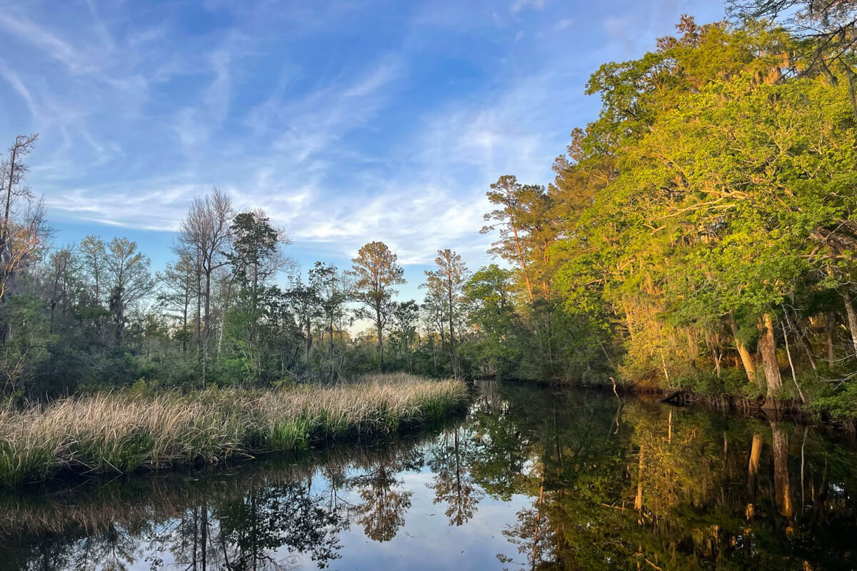Old Combahee Plantation SC For Sale Plantation Services