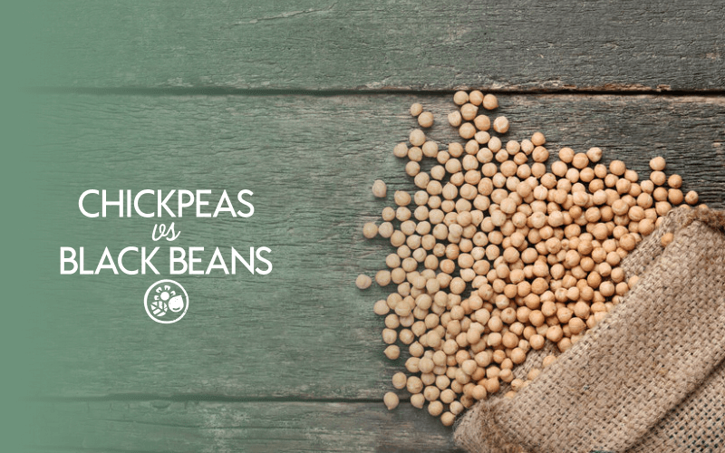 Chickpeas VS Black Beans Everything You Need To Know