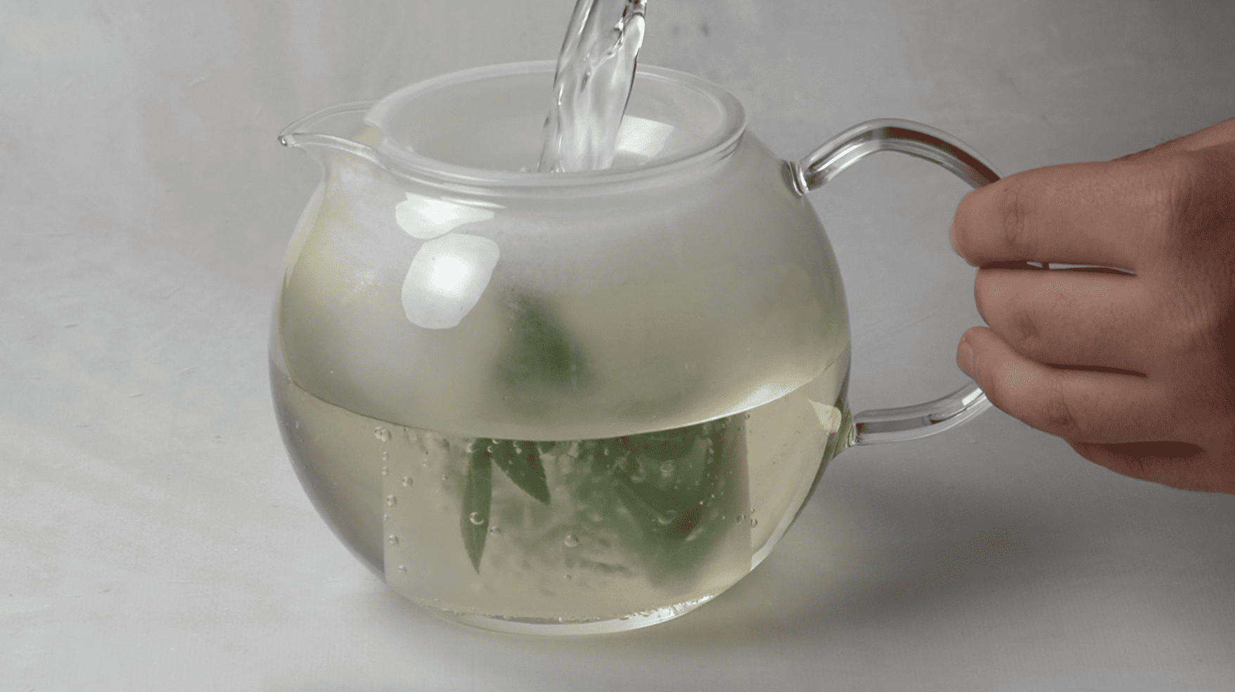 Fresh Herbal Tea (12 Herbs + How to Guide )