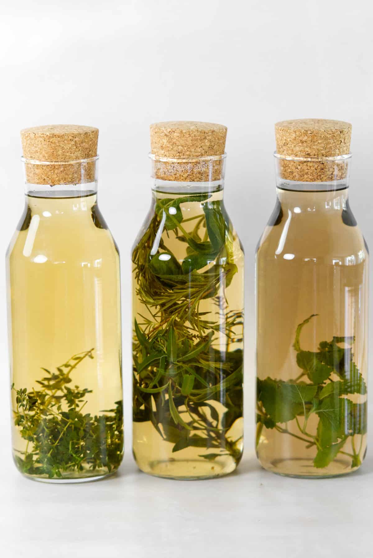 Fresh Herbal Tea (12 Herbs + How to Guide )