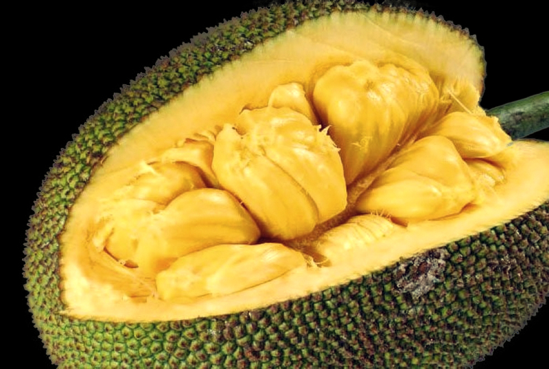 Okay....what is Jackfruit?? Plant Based Gal