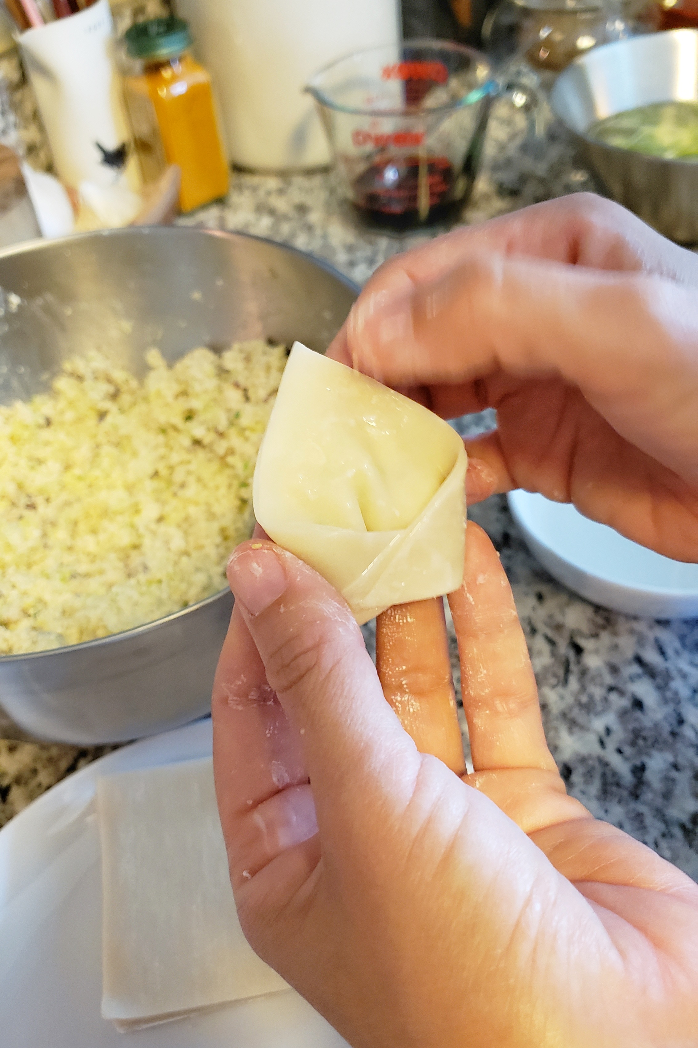 Boiled Gyoza (Dumplings) PlantBased Matters