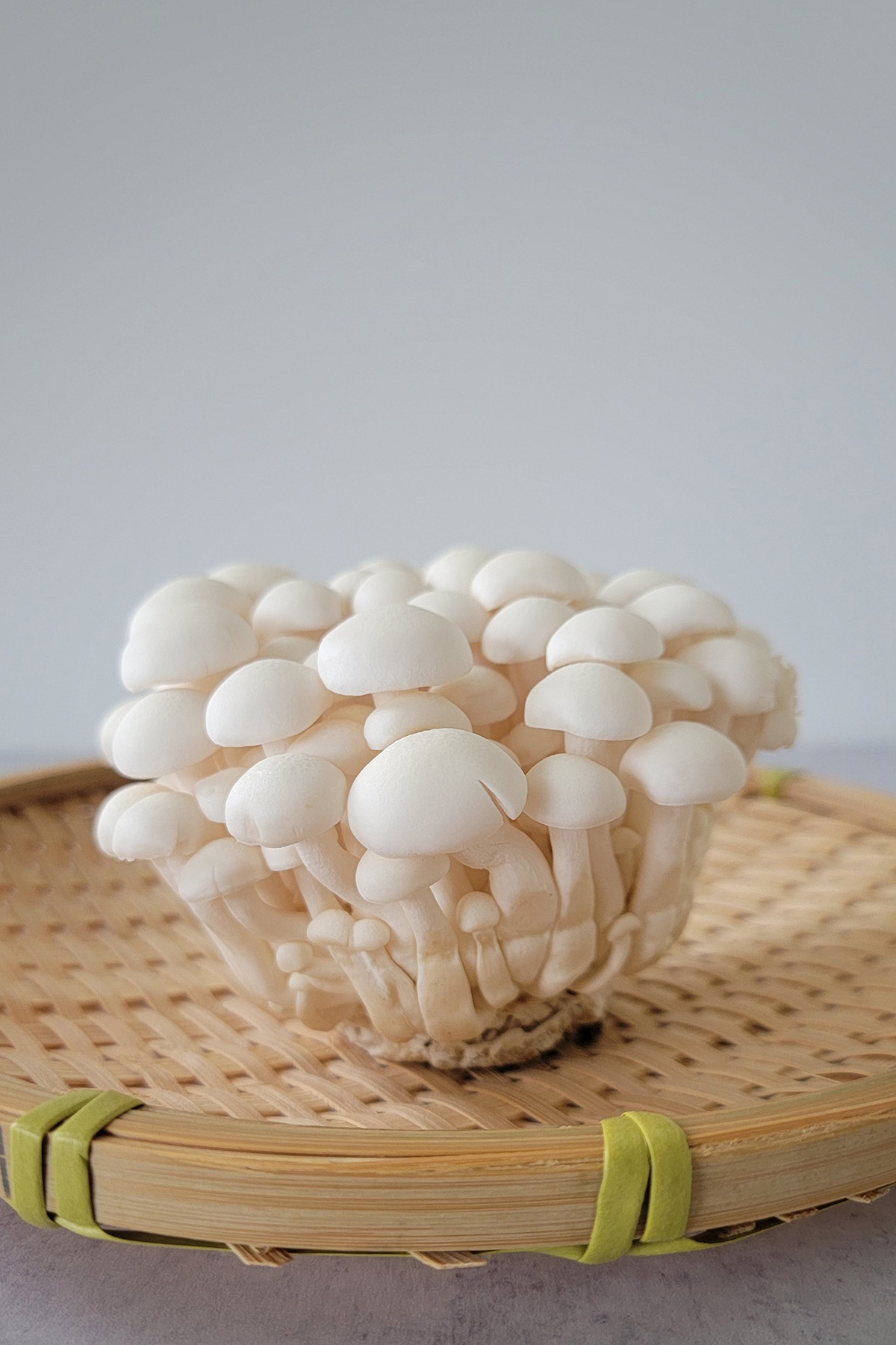 Shimeji Mushrooms PlantBased Matters