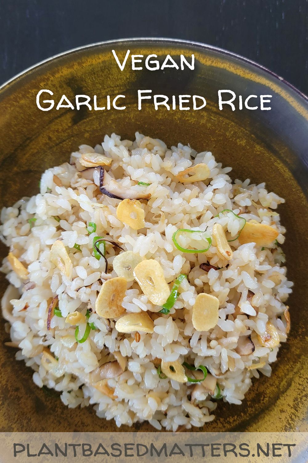Vegan Garlic Fried Rice PlantBased Matters