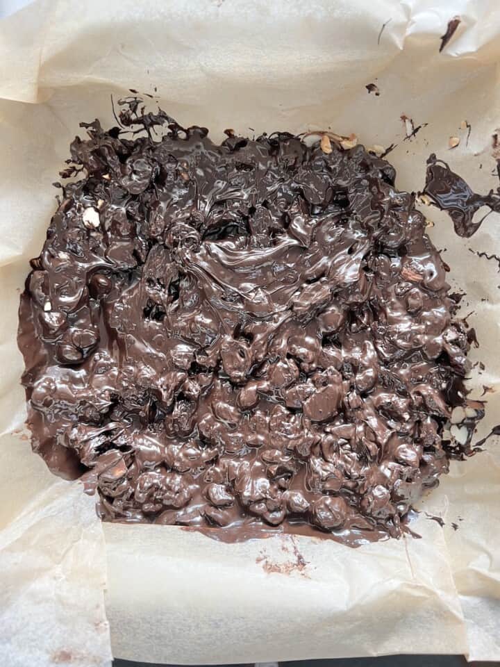 Chocolate Fruit Bars PlantBased on a Budget