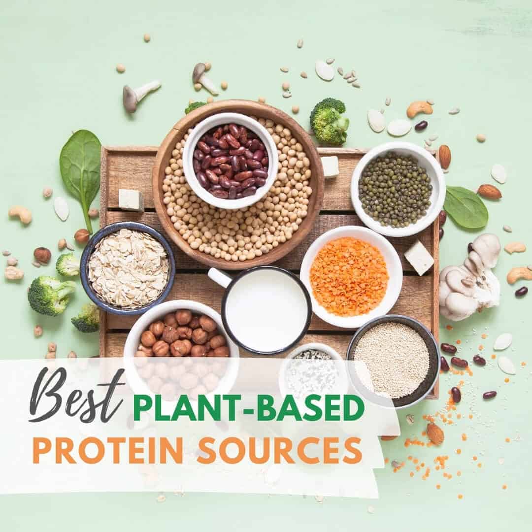 Best PlantBased Protein Sources PlantBased on a Budget