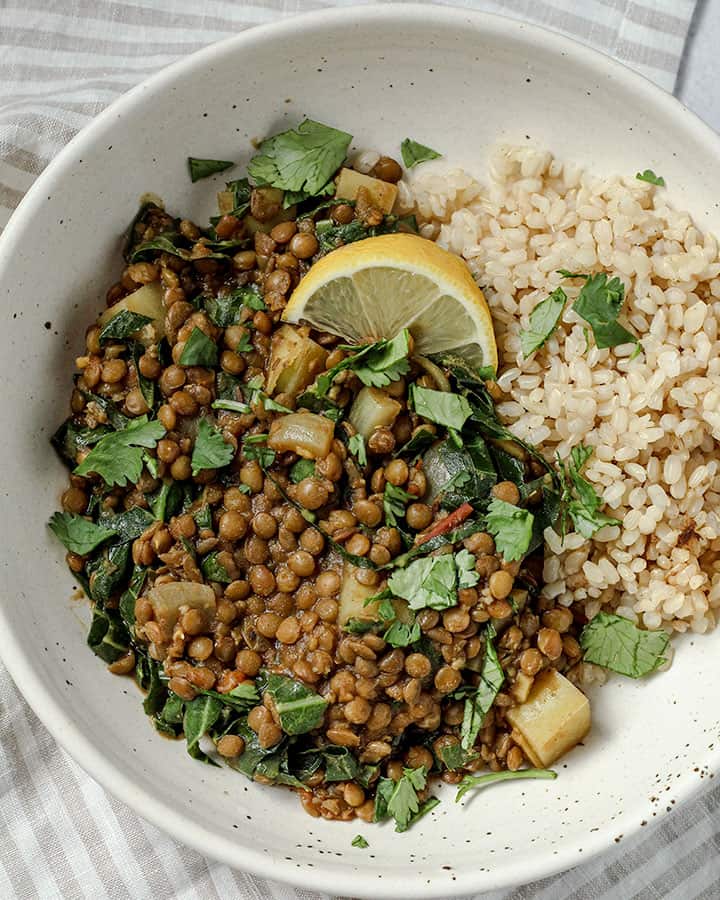 Brown Lentil Curry Plant Based RD