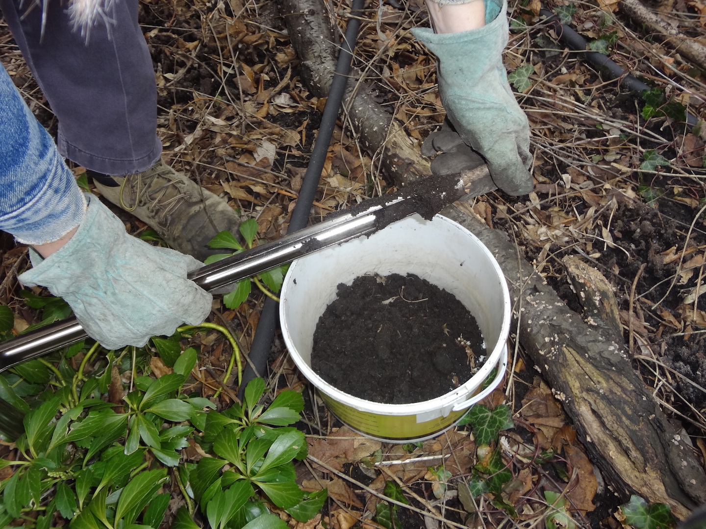 Soil Sampling Instructions > Plant Brix