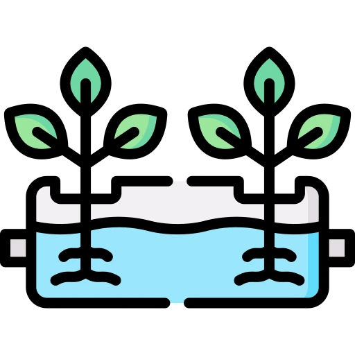 Growing Basil Hydroponically Can basil plant grow in water? Plant