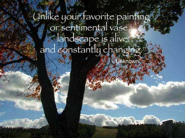 Quote - Unlike a Painting or Sentimental Vase