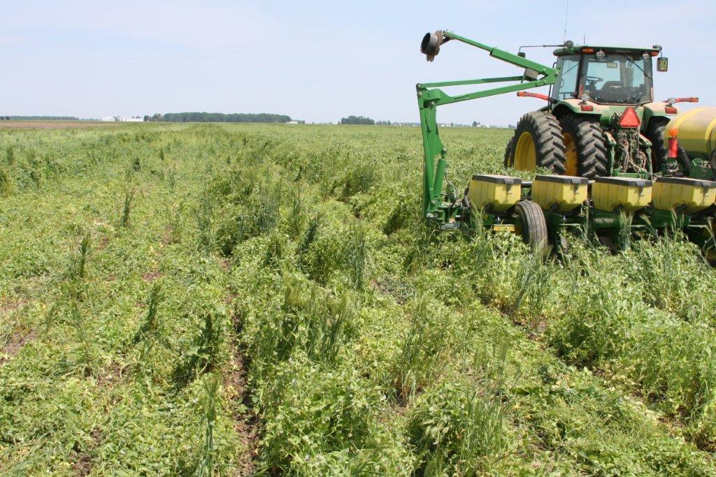 Farmer Report from Ohio Planting into "Out of Control