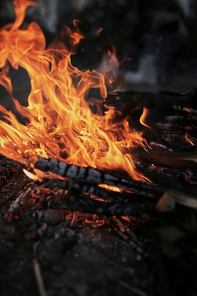 5 Wood Ash Uses For Tomato Plants To Maximize Your Crop