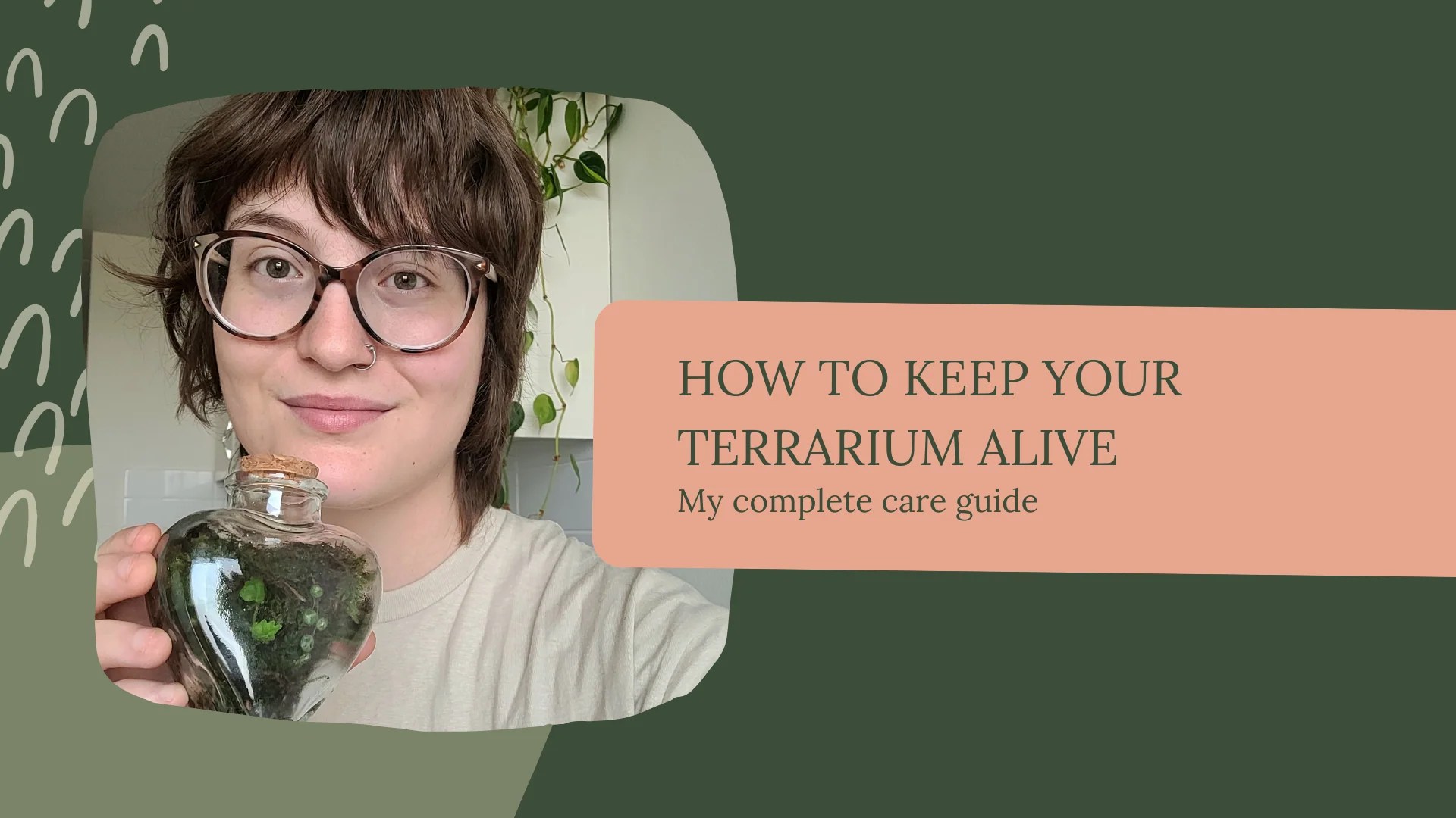 How to keep your terrarium alive My complete care guide Planted