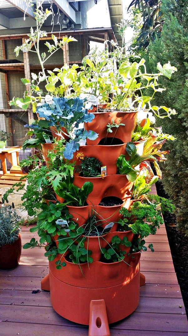 27 Unique Vertical Gardening Ideas with Images Planted Well