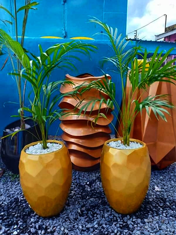 Plastic Planters Nairobi Garden Plant