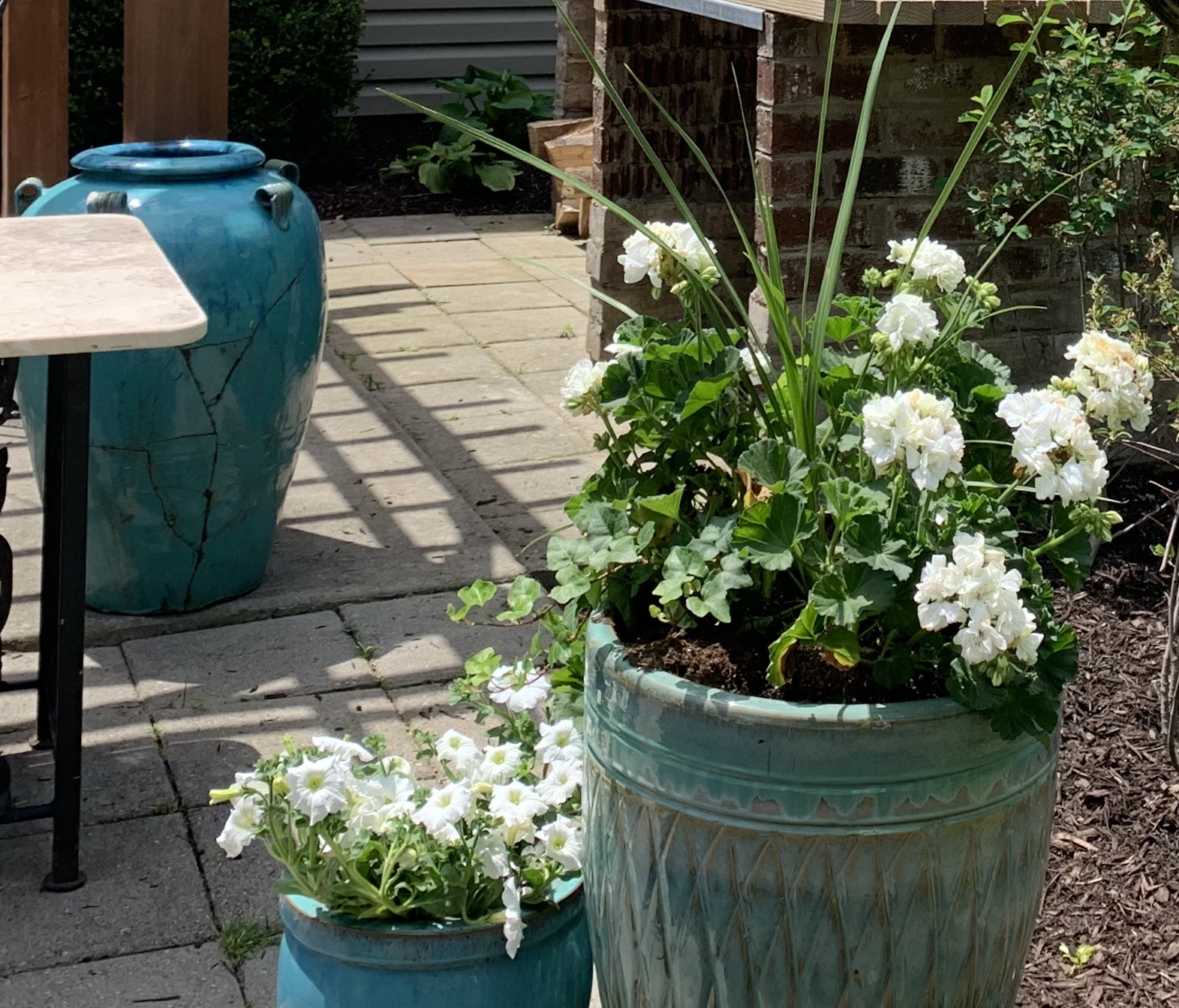 Best DroughtTolerant Plants for Containers Planters Place