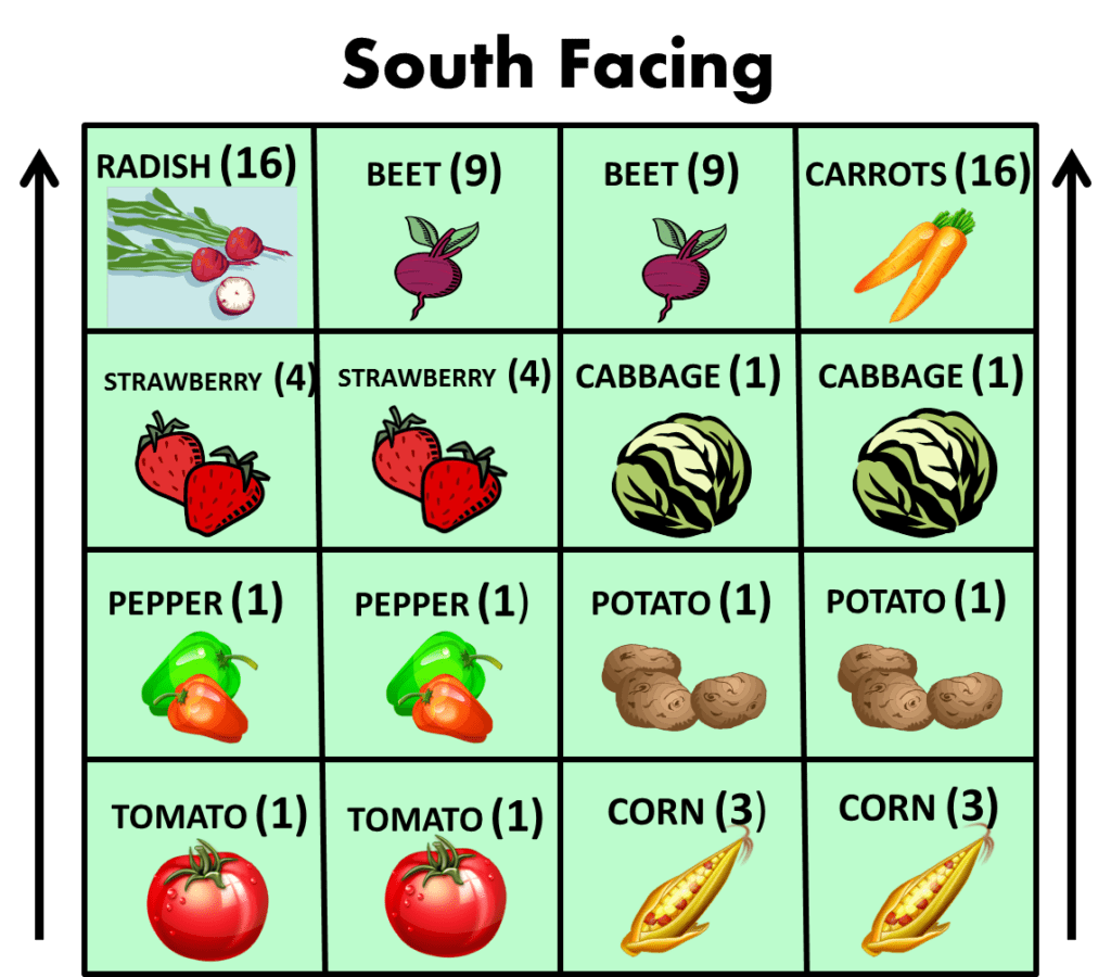 What Vegetables To Grow In A Square Foot Garden No Dig Vegetable