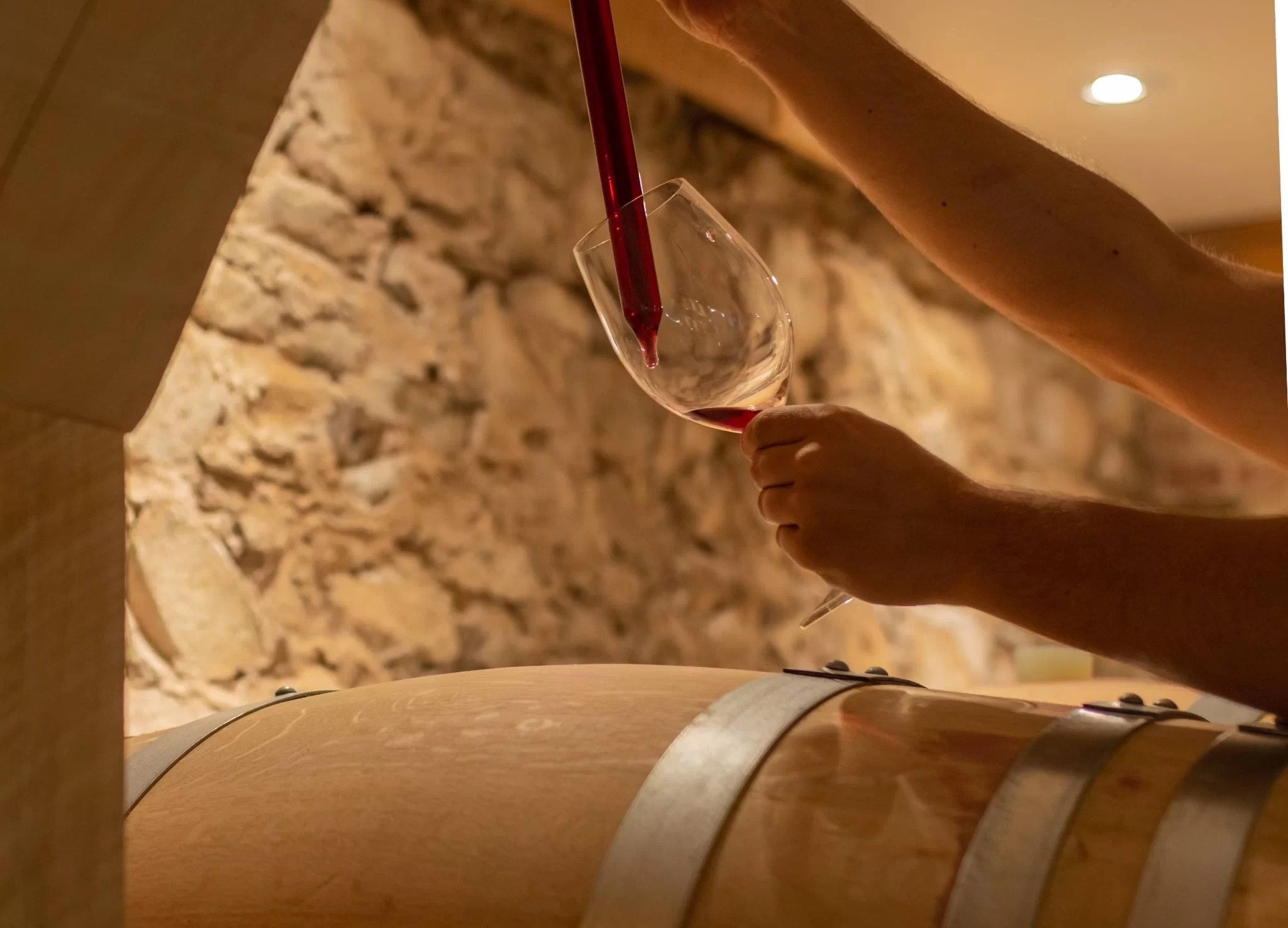 Winemaking Planters Ridge