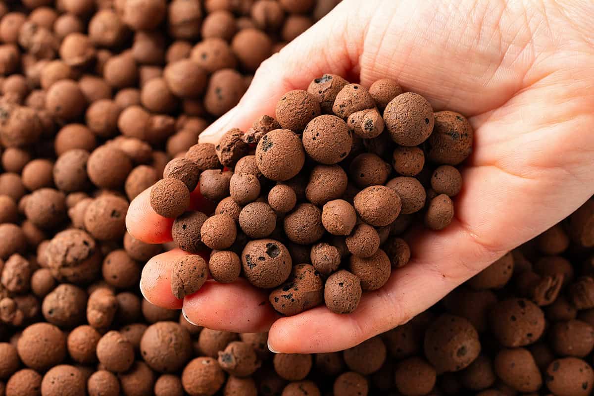 How to Fill Large Planter Pots [8 Effective Ways] Plantglossary