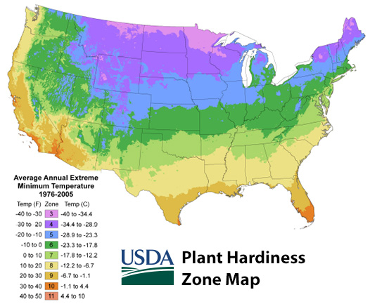 Landscape Garden Region Selection