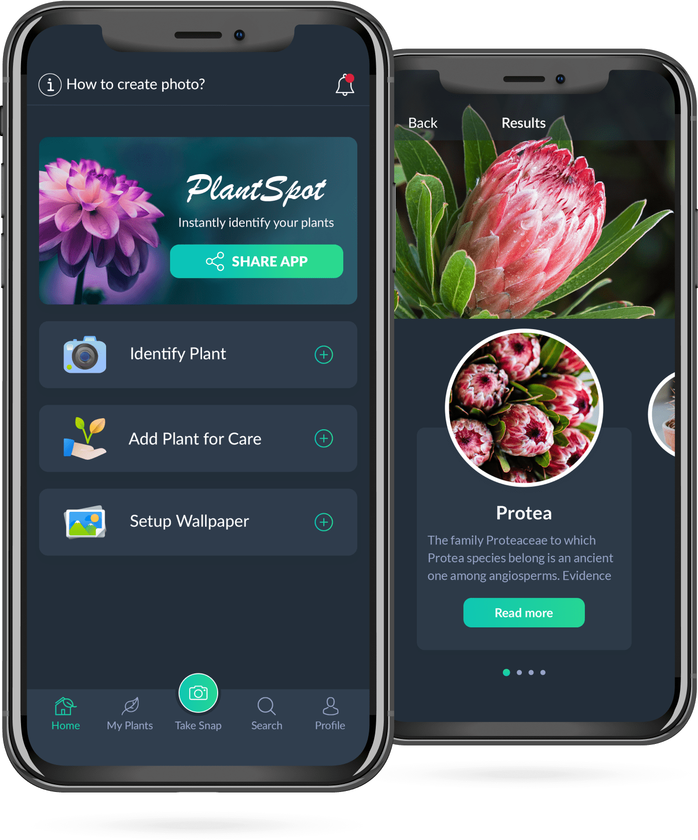 Plant Identifier App 1 Plantidentification.co
